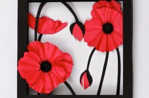 3D Poppy Picture